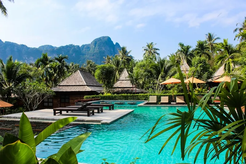 Rain forest view